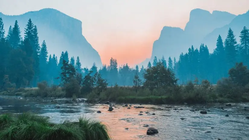 Nature photography