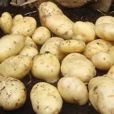 Chitkul's Famous Potatoes
