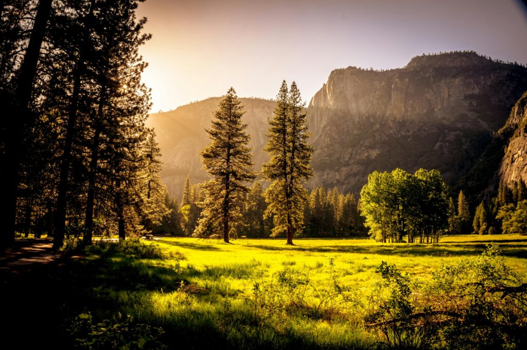 Himachal Pradesh